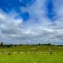 Photo of Mistwood Golf Club