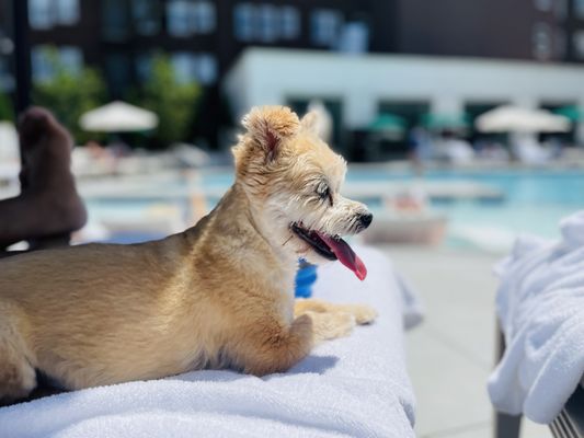 Kimpton Cottonwood Hotel by null