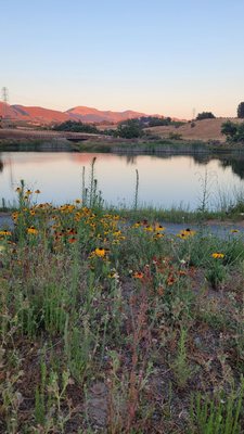 La Lomita Ranch by null