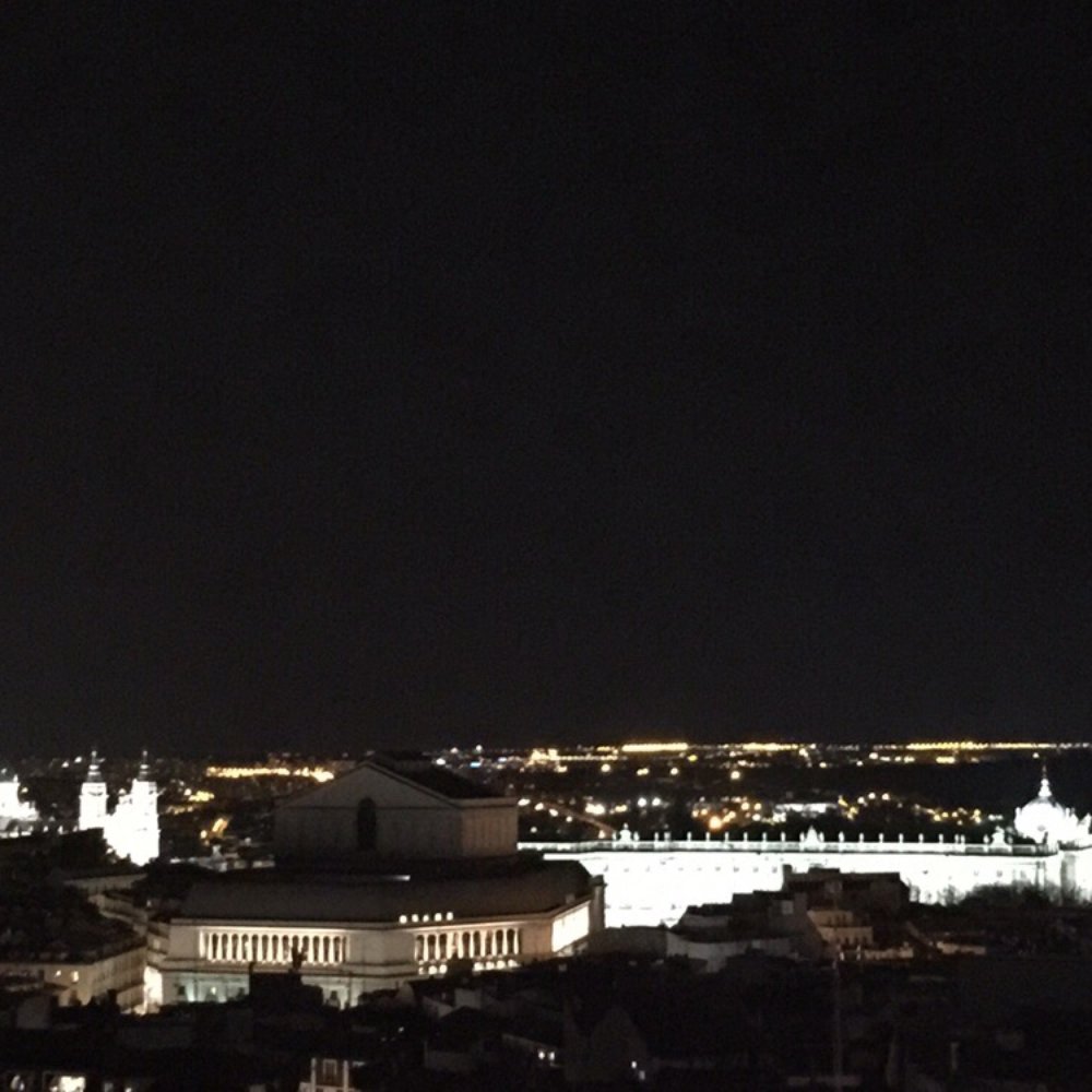 The Gourmet Experience - View of the Almudena Cathedral and Royal Palace. - Delicatessen Near Me - Madrid, M