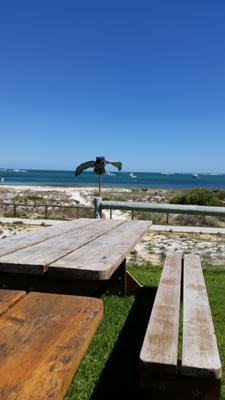 Endeavour Tavern by null