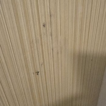 Circus Circus - Ewww room 12825 - Hotels Near Me - Las Vegas, Nevada Circus Circus - Ewww room 12825 - Hotels Near Me - Las Vegas, Nevada