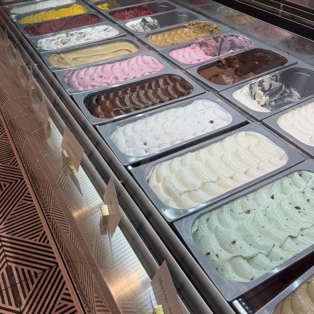 Sucre - Macarons Near Me - New Orleans, Louisiana Sucre - Macarons Near Me - New Orleans, Louisiana