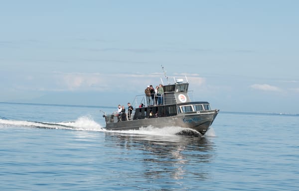 Steveston Seabreeze Adventures Vancouver by null