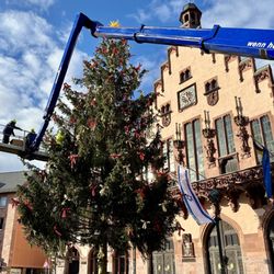 [11.2023] Weihnachtsbaum 2023 wird aufgestellt