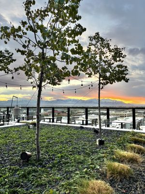 Van Ryder, a Rooftop Bar by null