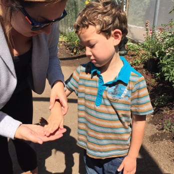Del Mar Hills Nursery School - Pre-k field trip to the Butterfly Farm! - Preschools Near Me - Del Mar, California Del Mar Hills Nursery School - Pre-k field trip to the Butterfly Farm! - Preschools Near Me - Del Mar, California