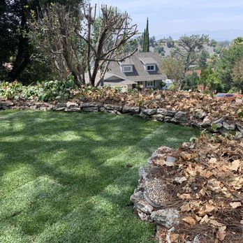 AL Lopez Landscaping - a lawn with a pile of leaves in the foreground - Landscaping Near Me