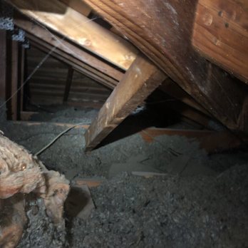 Attica Green Solution - No wonder our allergies were so bad - gross - Insulation Installation Near Me - Escondido, California Attica Green Solution - No wonder our allergies were so bad - gross - Insulation Installation Near Me - Escondido, California