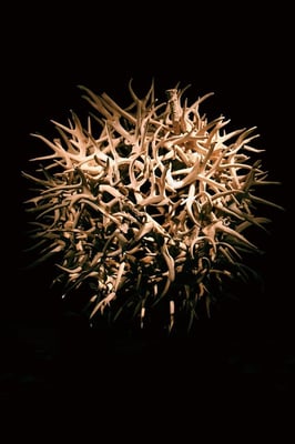 Museo de Arte Moderno by null