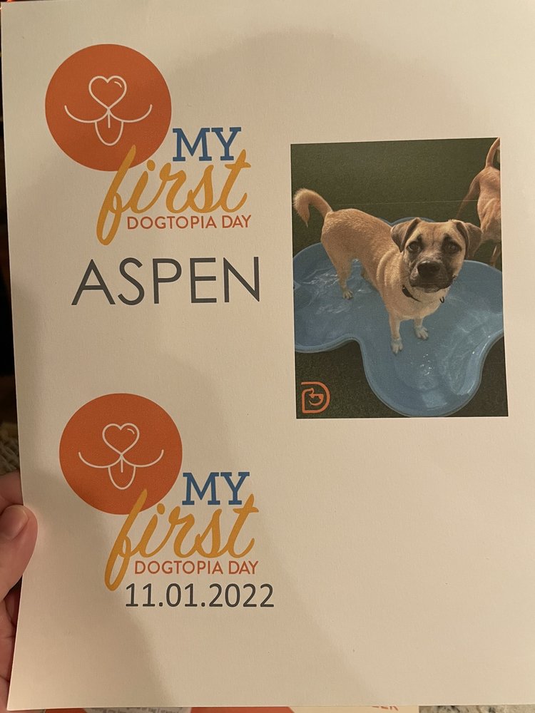 DOGTOPIA OF ANAHEIM HILLS 46 Photos & 109 Reviews 4570 E Eisenhower