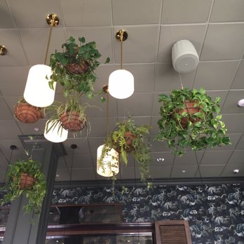 Water Bear Bar - Interior - Cocktail Bars Near Me - Boise, Idaho