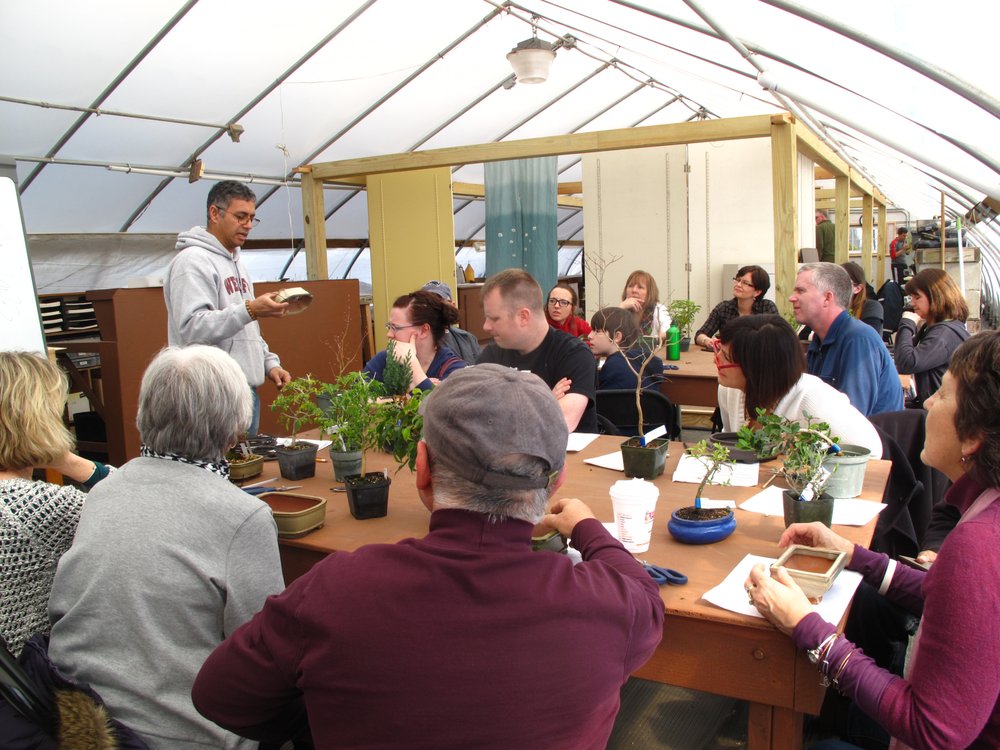 NEW ENGLAND BONSAI GARDENS Updated October 2024 21 Photos & 12