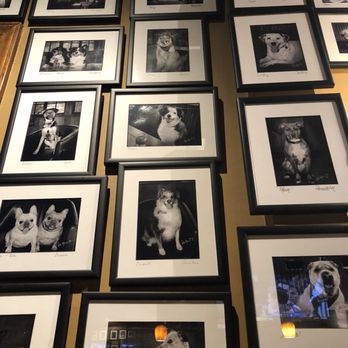 Bistro Roca - Wall of dogs (in bar) - Bars Near Me - Blowing Rock, North Carolina