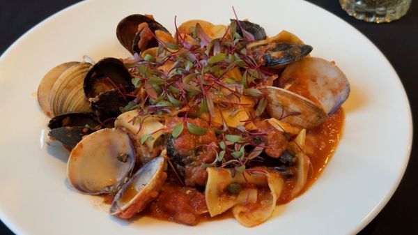 Bella Colibri by null