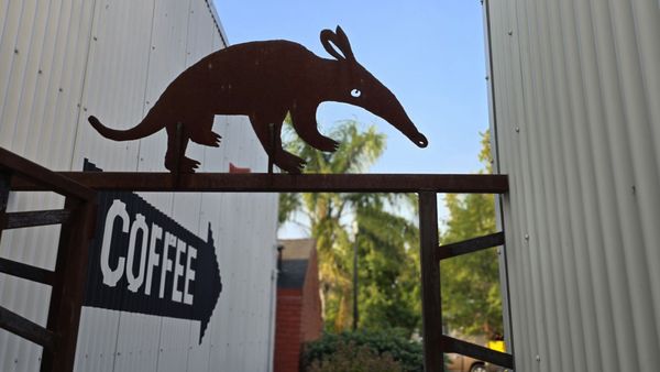 Temple Coffee Roasters by null