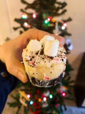 The Celia Jacobs Cheesecake Experience by null