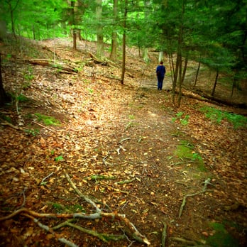 Deer Lick Conservation Area - Trail - Hiking Near Me - Gowanda, New York