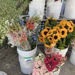 Sweet Wheel Farms