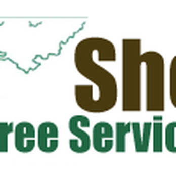Shea Tree Service - Tree Services Near Me - Southampton, Massachusetts Shea Tree Service - Tree Services Near Me - Southampton, Massachusetts