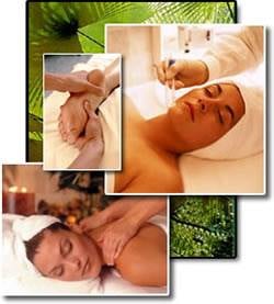 Healing Garden Therapies - Image 14