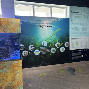 Manatee Lagoon - Information - Aquariums Near Me - West Palm Beach, Florida Manatee Lagoon - Information - Aquariums Near Me - West Palm Beach, Florida