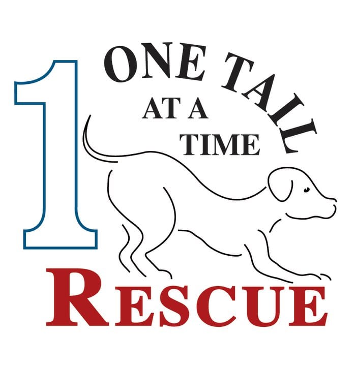 One Tail at a Time Image