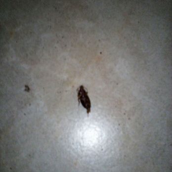 Galleria Motel - This was on the ceiling in the bathroom - Hotels Near Me - Montclair, California Galleria Motel - This was on the ceiling in the bathroom - Hotels Near Me - Montclair, California