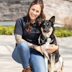 Lorenzo's Dog Training Team