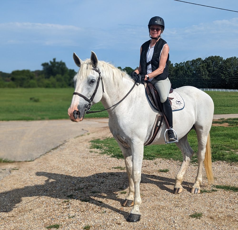 The Riding School At Horses - equestrian in Collierville, TN