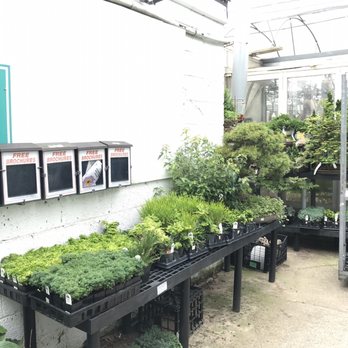 Telly's Greenhouse - Nurseries & Gardening Near Me - Troy, Michigan Telly's Greenhouse - Nurseries & Gardening Near Me - Troy, Michigan
