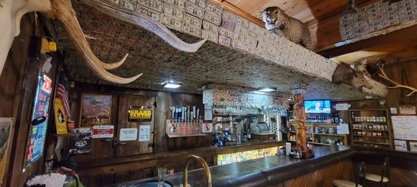The Roadkill Cafe/O.K. Saloon by null