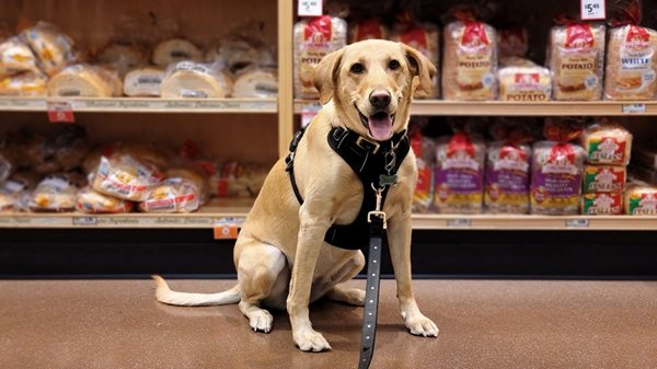 Sprouts Farmers Market by null