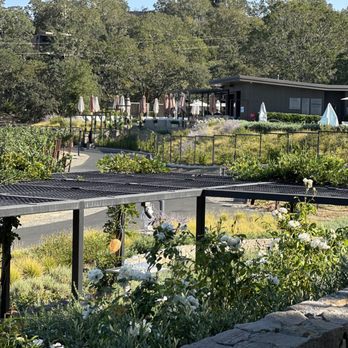 Montage Healdsburg - Drinks and early dinner. - Resorts Near Me - Healdsburg, California Montage Healdsburg - Drinks and early dinner. - Resorts Near Me - Healdsburg, California