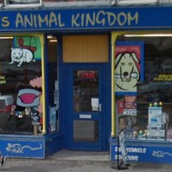 Andy's Animal Kingdom