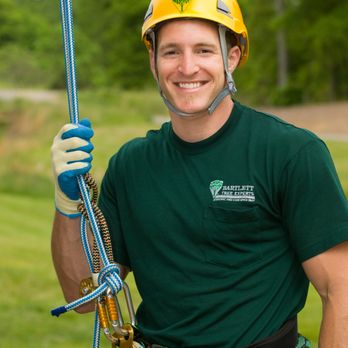 Bartlett Tree Experts - Tree Services Near Me Bartlett Tree Experts - Tree Services Near Me