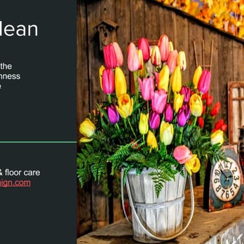 Roto Carpet Cleaning - Roto Carpet Cleaning  Carpet and floor care www.rotocarpetcleaning.com - Carpet Cleaning Near Me - Everett, Washington
