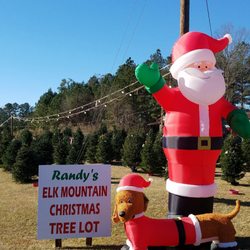Elk Mountain Christmas Trees