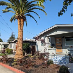 Vega's Tree Service