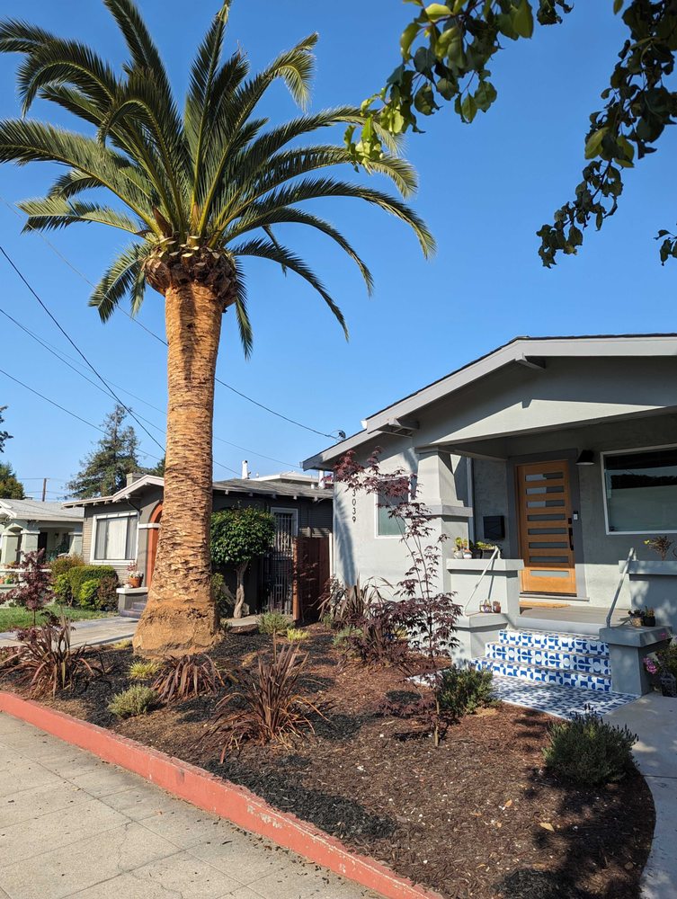 VEGA’S TREE SERVICE Updated September 2024 112 Photos & 202 Reviews