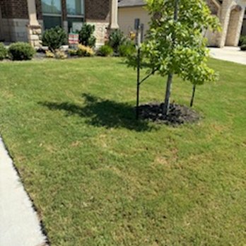 Emerald Lawns - Still a ways to go, but with summer temps starting to climb so are those brown spots. Normal for this time of year. - Tree Services Near Me - Round Rock, Texas Emerald Lawns - Still a ways to go, but with summer temps starting to climb so are those brown spots. Normal for this time of year. - Tree Services Near Me - Round Rock, Texas