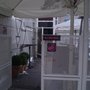 Photo of Elli Disco