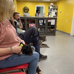 The Other Animal Hospital - Waiting Room.