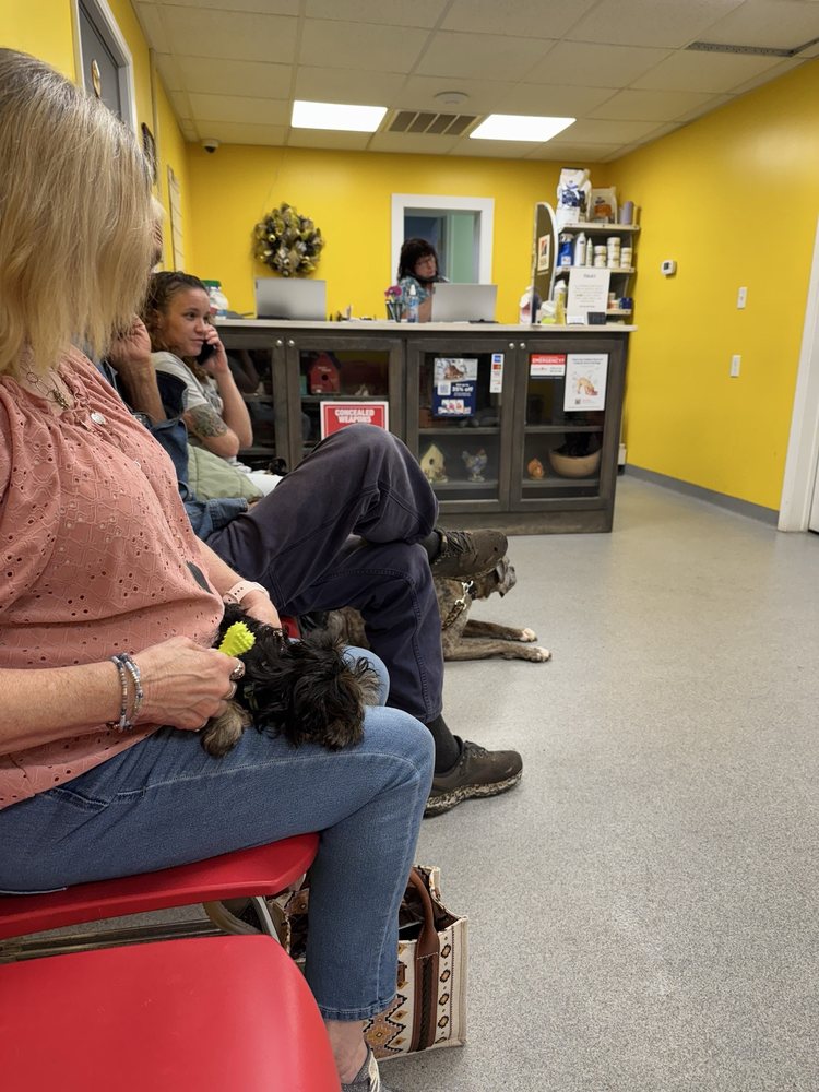 The Other Animal Hospital Image