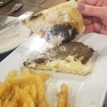 Crush & Brew - Steak and cheese panini - New American Near Me - Temecula, California Crush & Brew - Steak and cheese panini - New American Near Me - Temecula, California