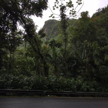 El Yunque Rainforest - Rock outcropping on the way To La Coca - Hiking Near Me - Luquillo, Puerto Rico