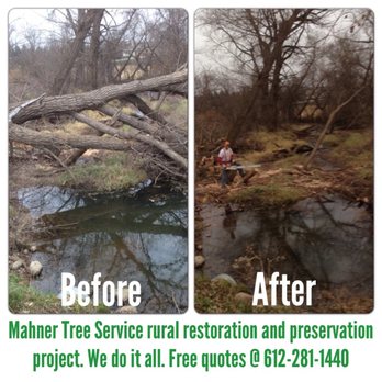 Mahner Tree Service - Wetland restoration project. - Tree Services Near Me - Eagan, Minnesota Mahner Tree Service - Wetland restoration project. - Tree Services Near Me - Eagan, Minnesota