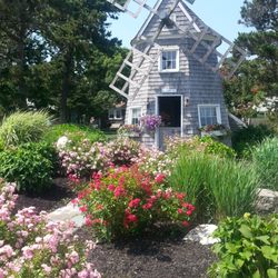 Dennis Seashores - Dennis Seashores Windmill