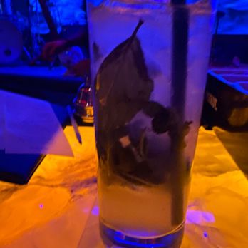 Blue Martini - My usual - Lounges Near Me - Miami, Florida