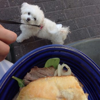 Cafe Borrone - Fergie and my tri-tip steak sandwich :) - Breakfast & Brunch Near Me - Menlo Park, California Cafe Borrone - Fergie and my tri-tip steak sandwich :) - Breakfast & Brunch Near Me - Menlo Park, California